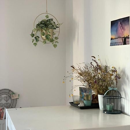 Super Logement Cosy, A Deux Pas Du Tram Nantes Zewnętrze zdjęcie