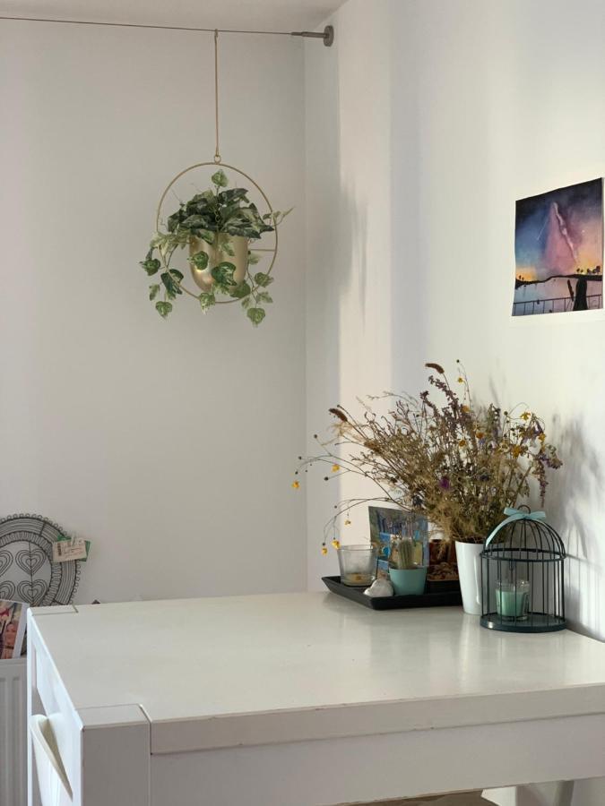 Super Logement Cosy, A Deux Pas Du Tram Nantes Zewnętrze zdjęcie